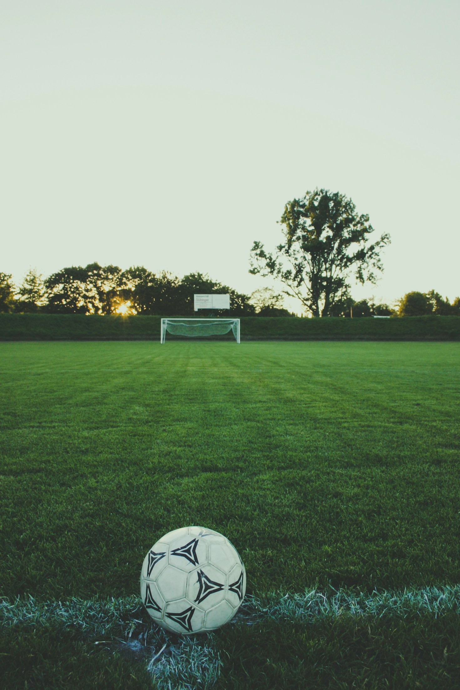 Unveiling Lesser-Known Feyenoord Stories